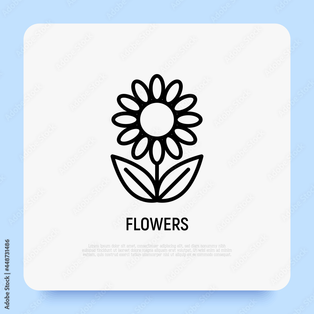 Flower thin line icon. Modern vector illustration.