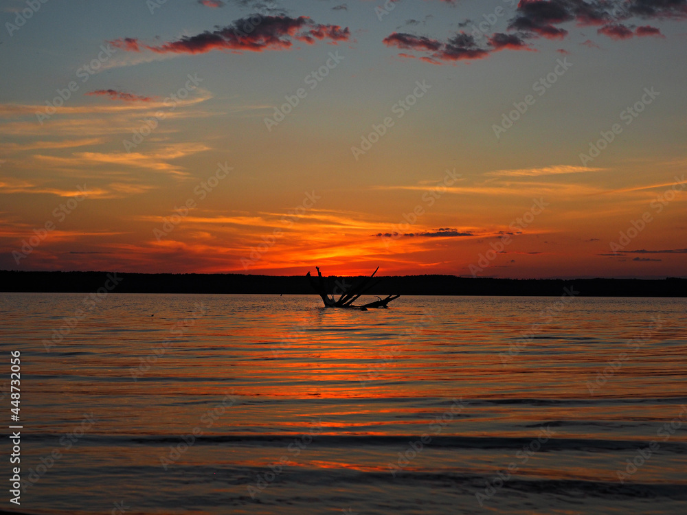 Summer sunset on the Kama river. Driftwood in the water. Beautiful clouds. Russia, Ural, Perm Territory, Elovo.