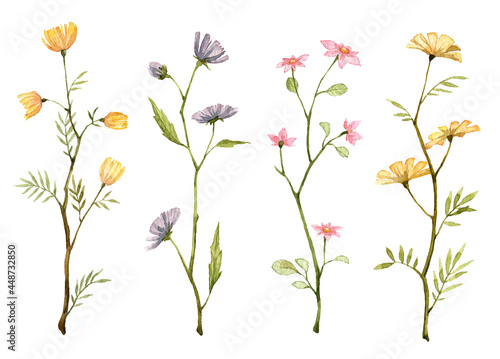 Detailed realistic botanical clip art. Watercolor cute flowers. Different pink yellow and purple blossom with green leaves. Objects isolated on white background. Botanical illustration. 