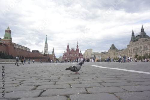 pigeon and the Kremlin (left), state museum (mid), GUM (right)
