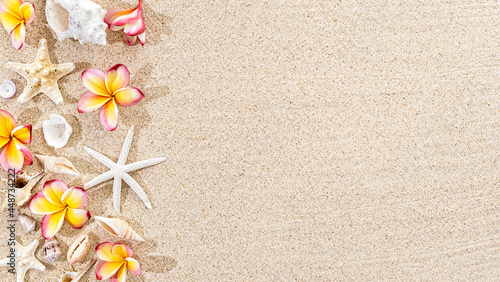 Frangipani tropical  Ffower, plumeria and seashells, starfish on sand background, top view, copy space