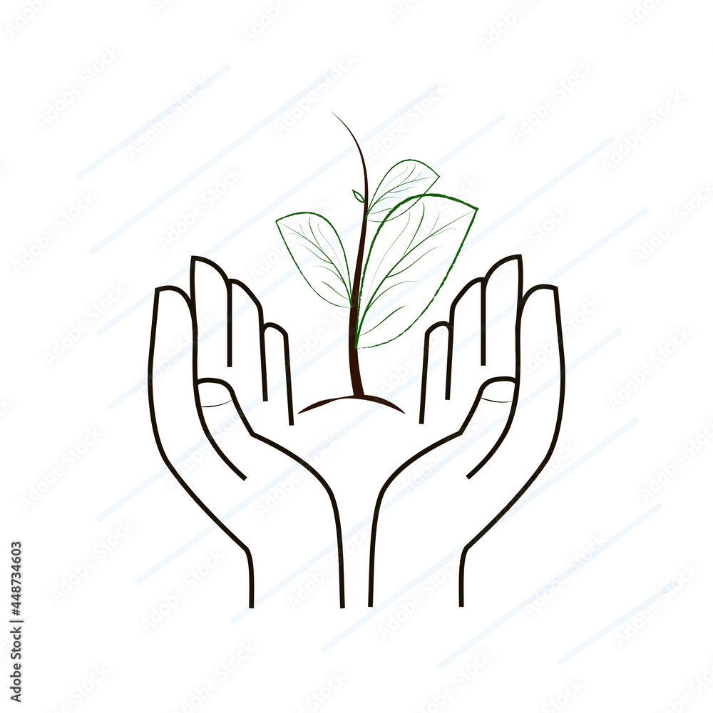 hands holding a green plant hands holding a green plant
