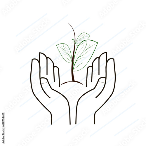 hands holding a green plant