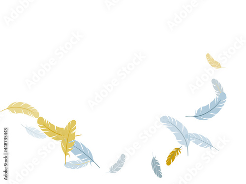 Detailed majestic feather on white design.