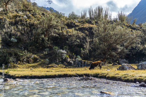 The way to Lake69. Lake 69 is a small lake near of the city of Huaraz, Peru. photo