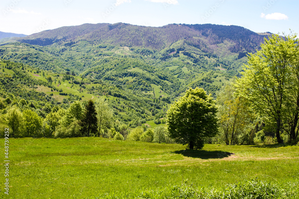 Carpathians mountains. Beauty world.