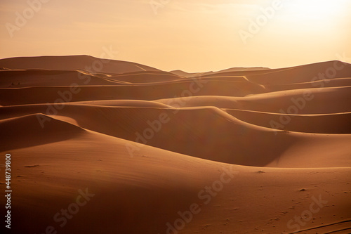 Dunas del desierto. Desert dunes.