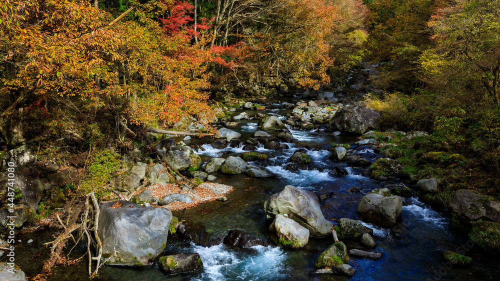 Stream With Autumn Leaves inn japan . Stream With Autumn Leaves inn japan .