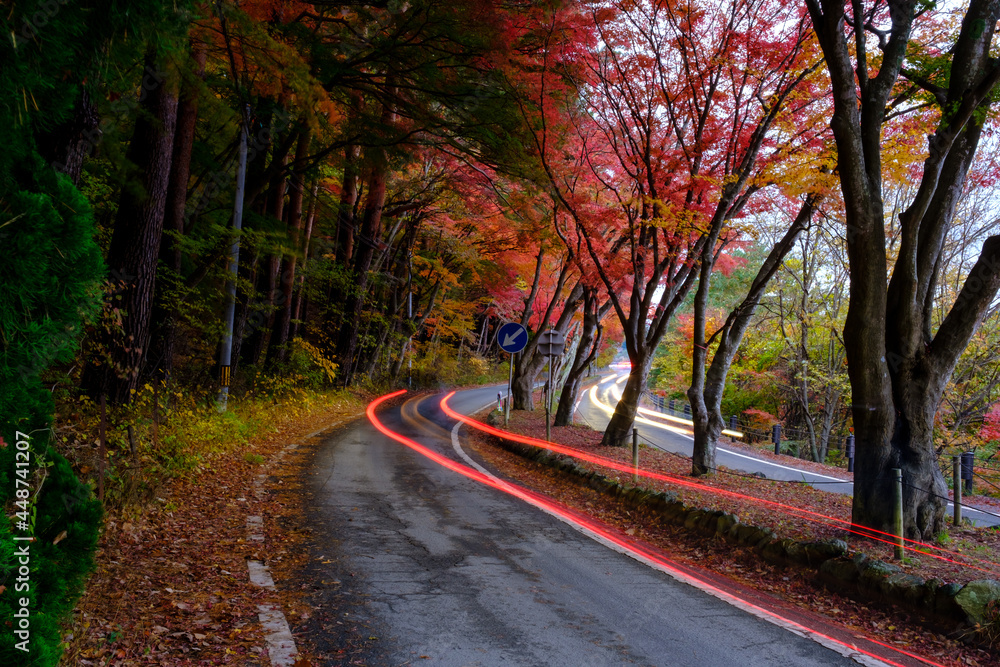 Autumn on road along with yellow red orange green maple leaves in autumn season and headlight car in Japan