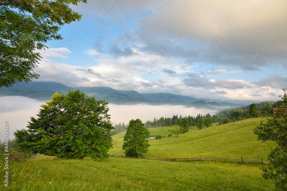 Foggy morning in the Carpathian mountains. Beautiful mountain valley is covered with fog. Ukraine, Europe. Foggy morning in the Carpathian mountains. Beautiful mountain valley is covered with fog. Ukraine, Europe.