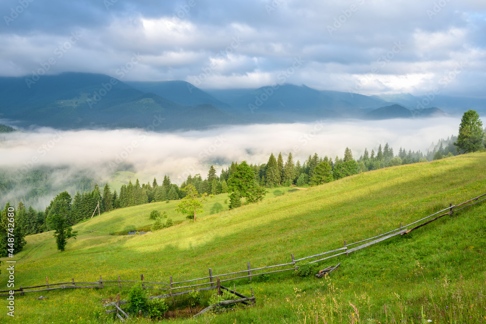 Splendid mountain valley is covered with fog and green alpine meadows. Foggy landscape. Location place Carpathian mountains, Ukraine, Europe. Splendid mountain valley is covered with fog and green alpine meadows. Foggy landscape. Location place Carpathian mountains, Ukraine, Europe.