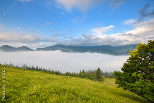 Foggy morning in the Carpathian mountains. Beautiful mountain valley is covered with fog. Ukraine, Europe.