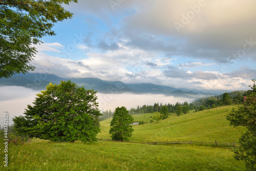 Foggy morning in the Carpathian mountains. Beautiful mountain valley is covered with fog. Ukraine, Europe.