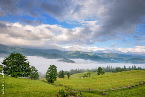 Foggy morning in the Carpathian mountains. Beautiful mountain valley is covered with fog. Ukraine, Europe. © nmelnychuk