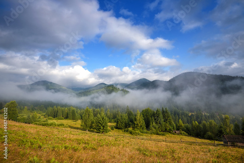 Amazing mountain landscape with fog and colorful herbs. Authumn morning after rain. Carpathian, Ukraine, Europe