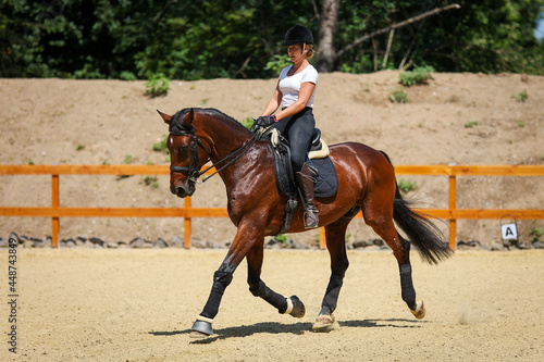Horse dressage with rider during training, on the diagonal in a strong trot during the suspension phase.. © RD-Fotografie