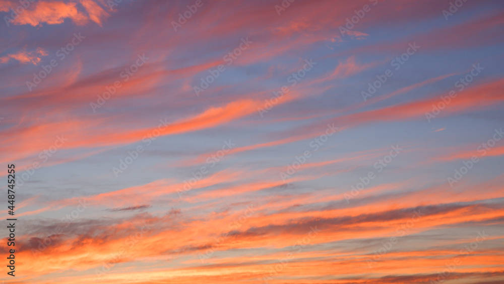 Scenery. Photo of the evening sky. Crimson yellow clouds against a blue sky at sunset before a thunderstorm.