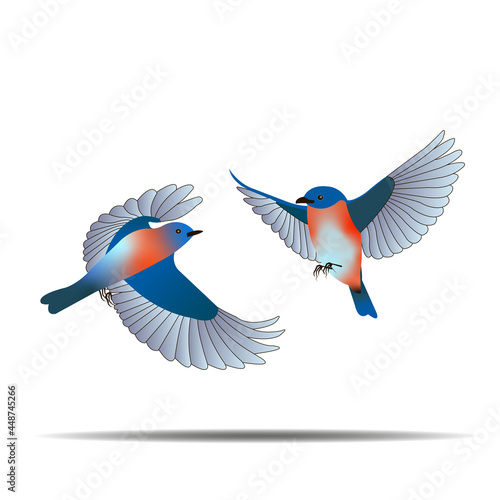 Set of cute birds. Two bullfinches fly next to each other. Design elements for posters, banners, postcards and invitations. Cartoon gradient vector illustration isolated on a white background