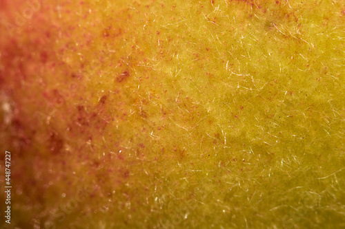 macro of peach fruit skin