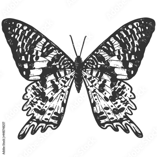 Chrysiridia rhipheus, butterfly. Sketch scratch board imitation coloring. photo