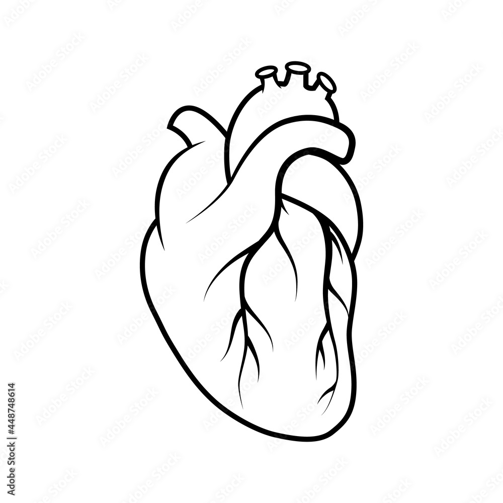 Medical human heart icon. Outline medical human heart vector icon for ...