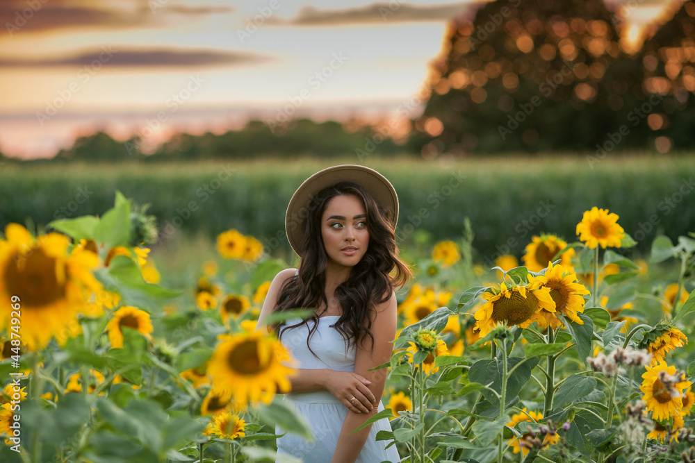 Portrait of a young beautiful woman with dark hair in a sunflower field at sunset. Happy. Summer. Portrait of a young beautiful woman with dark hair in a sunflower field at sunset. Happy. Summer.