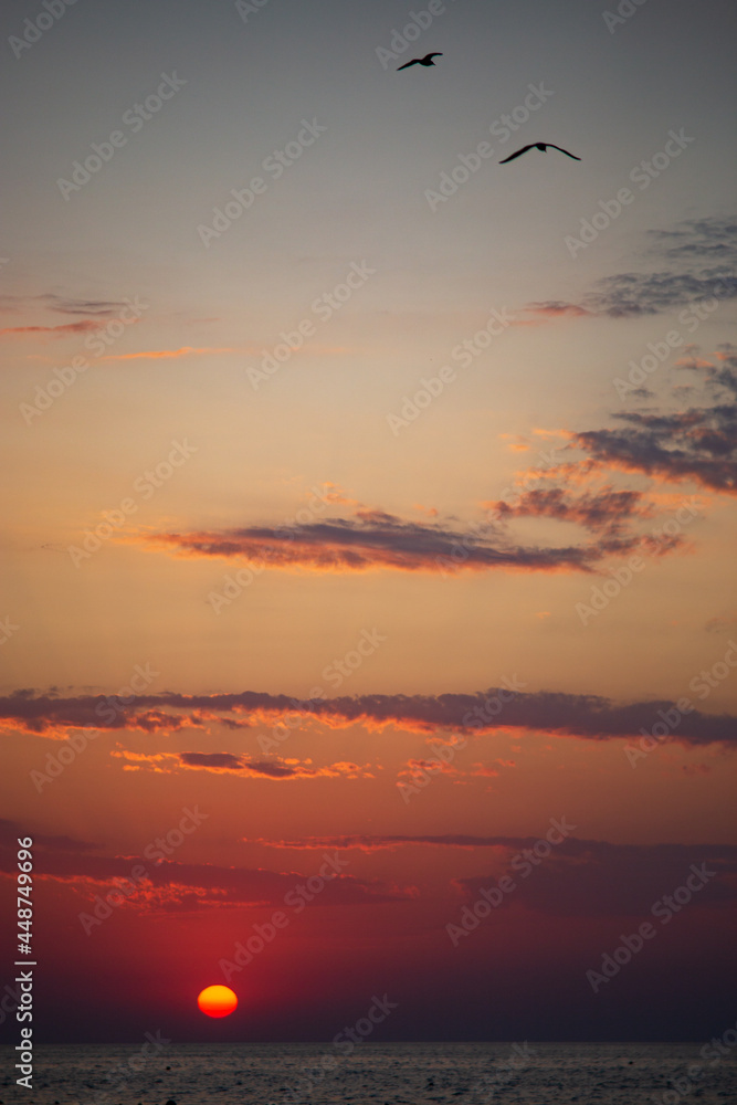 Sunset on the sea beach. Vertical photography. Two birds are flying over the clouds. Copy space.