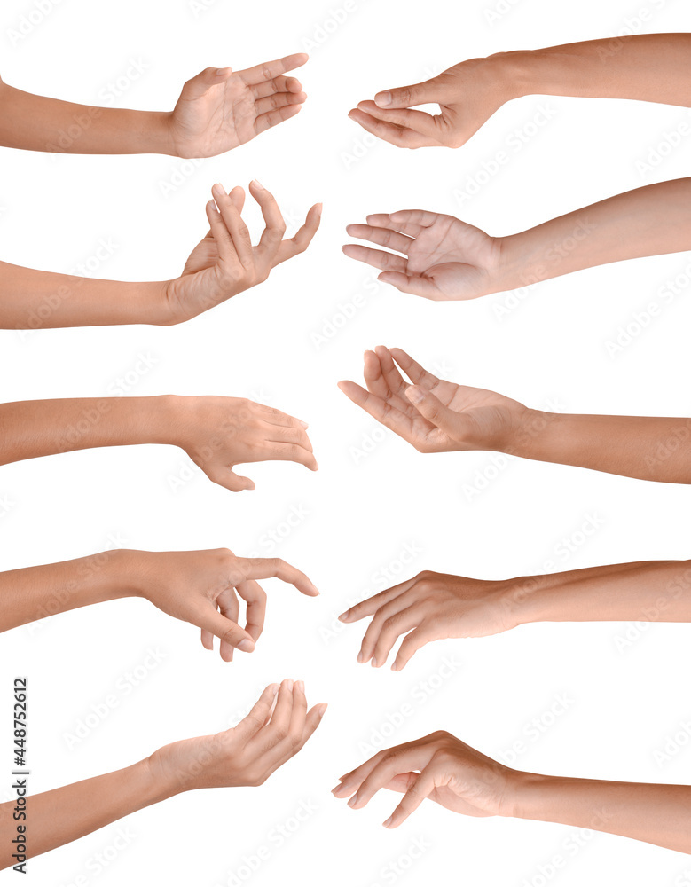 set of female female hands of various shapes isolated over white background