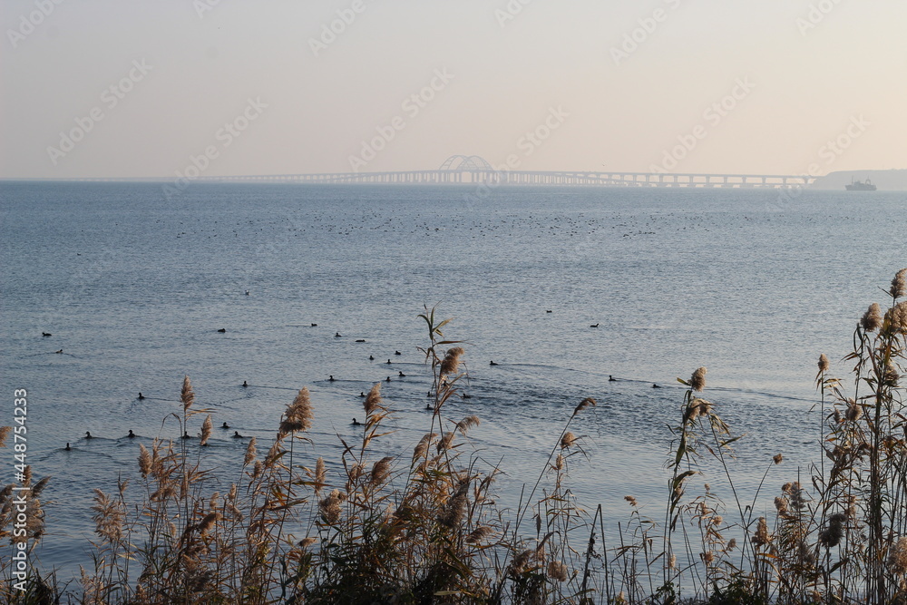 Bridge across the strait 