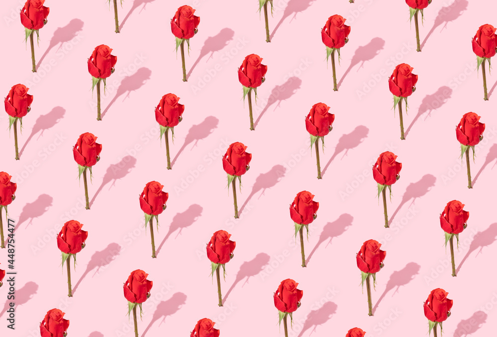 Romantic flower pattern concept made of nature's red roses with shadow on pastel pink background.