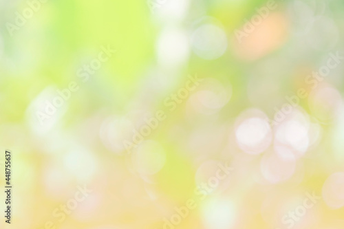 Nature bokeh blur abstract background with sunlight and green tree, spring or summer background