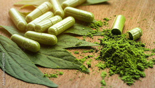 Obraz na plátně medical, Example Green chiretta herbal medicine natural, acute respiratory tract