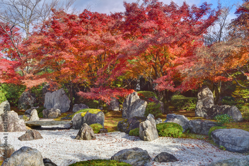 将軍塚青龍殿の紅葉 Stock Photo Adobe Stock