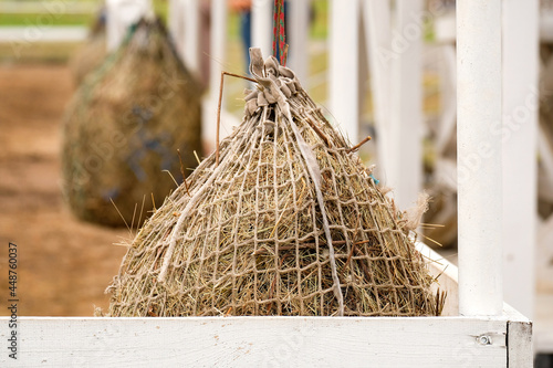 Hay and grass in a horse net in the stable