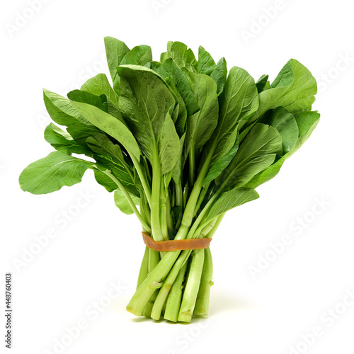 Green kale on a white background