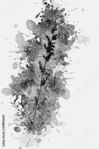 Digital watercolor painting of dry stalk of wild grass with seed