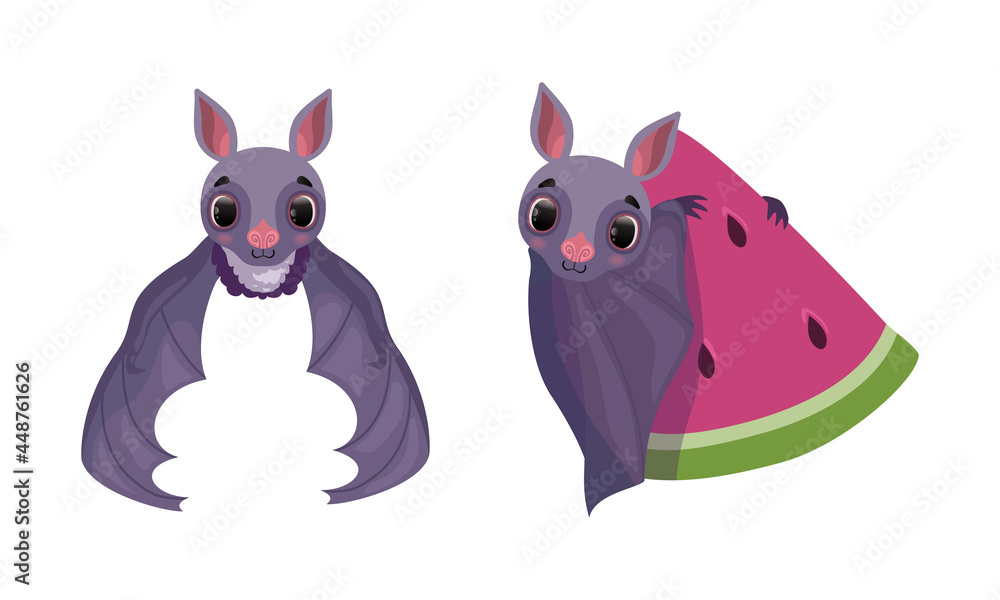 Funny Purple Bat with Cute Snout Flying and Holding Watermelon Vector Set