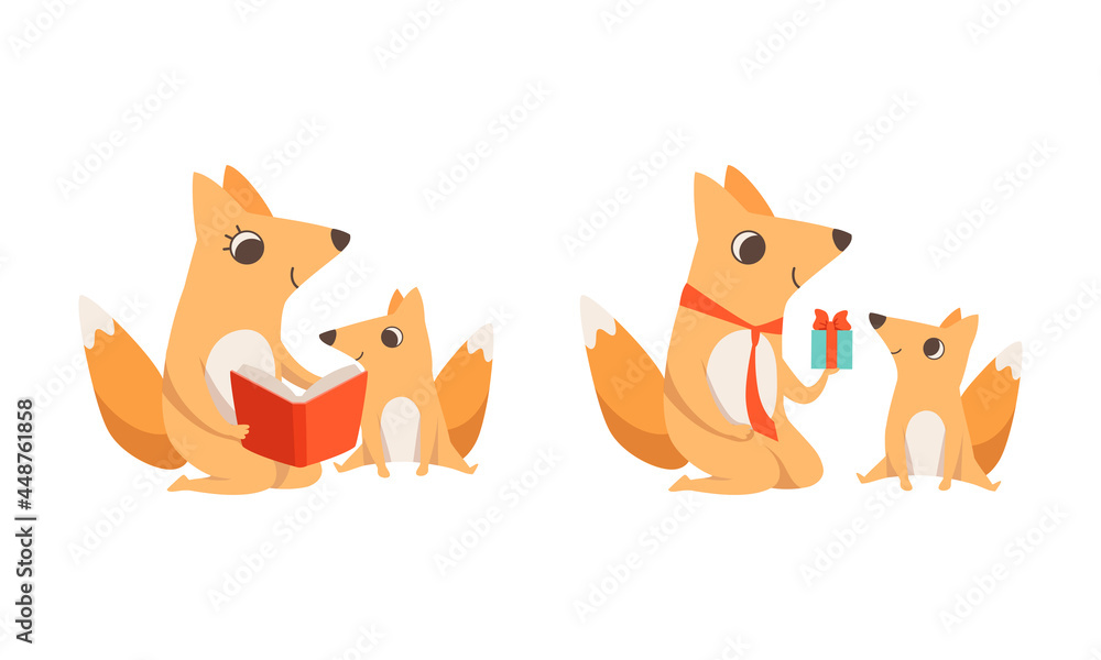 Loving Fox Mom and Dad Character with Its Cub Reading Book and Giving Gift Box Vector Set Loving Fox Mom and Dad Character with Its Cub Reading Book and Giving Gift Box Vector Set