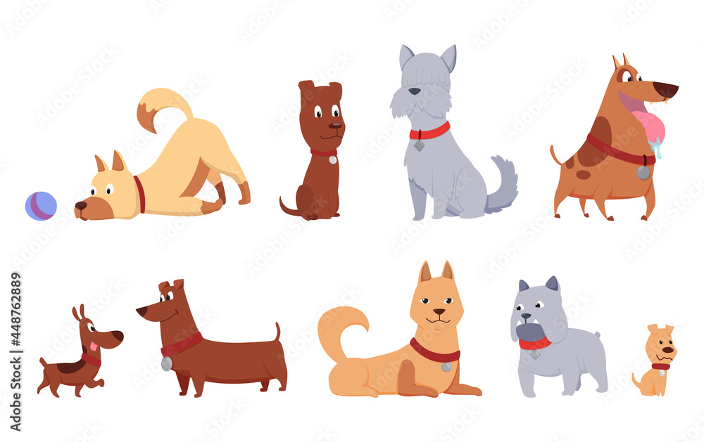 Fototapeta premium Cats and dogs friends collection. Different kinds of together sitting, lying, playing or walking isolated on white background. Funny flat cartoon colorful friendship pets set. Vector illustration