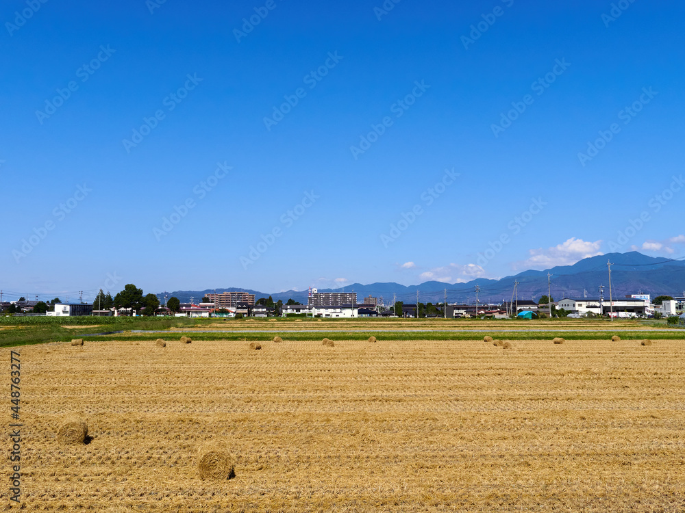 Fototapeta premium 秋（10月）、稲刈り後の田んぼにある、小ぶりな稲わらのロール 長野県松本市