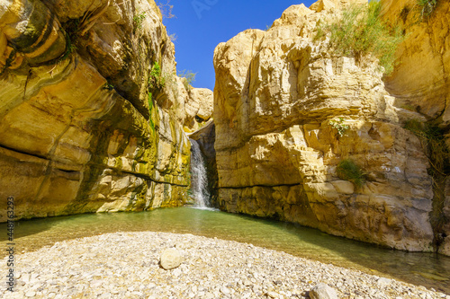 Hidden waterfall, Arugot stream, Ein Gedi Nature Reserve photo