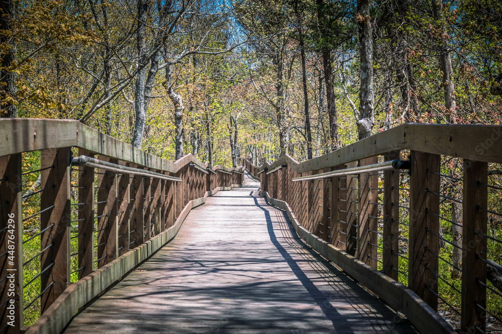 wooden walking bridge in the forest wooden walking bridge in the forest