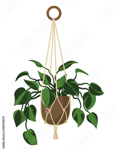 Vector green flower in a hanging brown pot of macrame planters. Green flower in a flat style isolated on a white background. Homemade flowers in the Scandinavian style