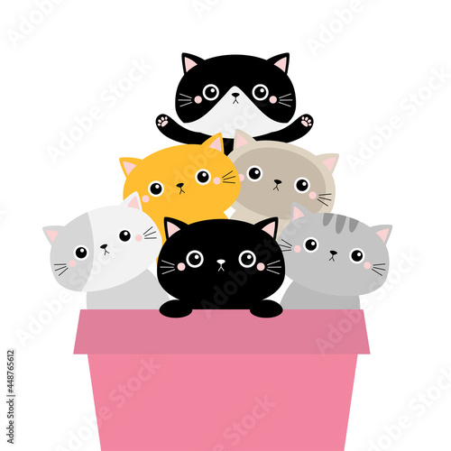 Cat bouquet set in flower pot. Paw print hands. Cute cartoon kawaii funny character. Baby pet animal collection. Moustaches. Sticker tshirt print template. Flat design. White background.