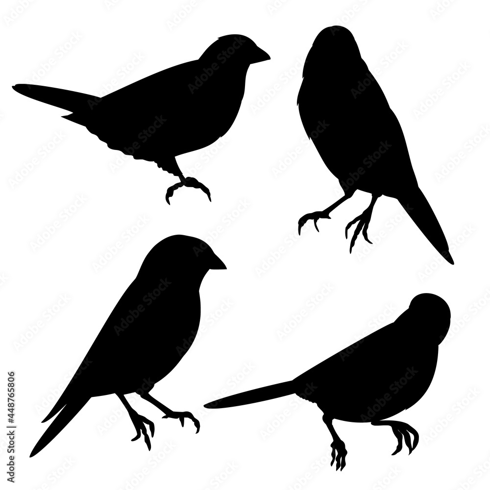 Fototapeta premium Bluebirds birds small thrush silhouette on a white background set two vintage vector illustration editable hand draw