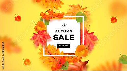 Autumn seasonal sale illustration. Realistic maple leaves. Special offer vector template
