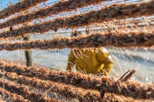 Corde de captage - Mytiliculture 