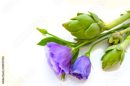 .design a bouquet of purple eustomas and green artichoke close-up card for the holiday