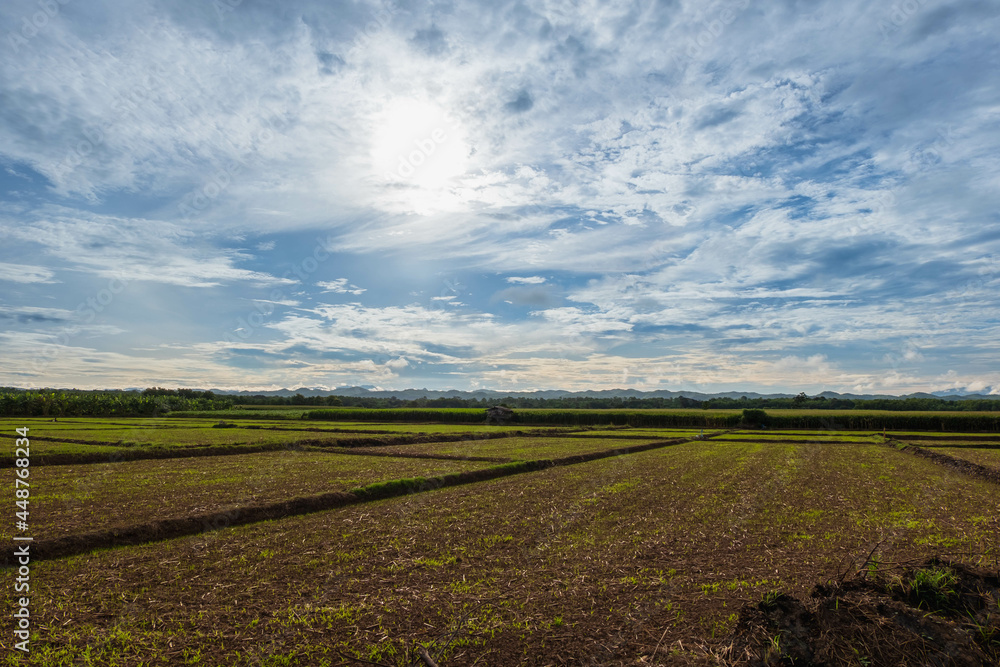The fields are cultivating against the morning sky. The fields are cultivating against the morning sky.