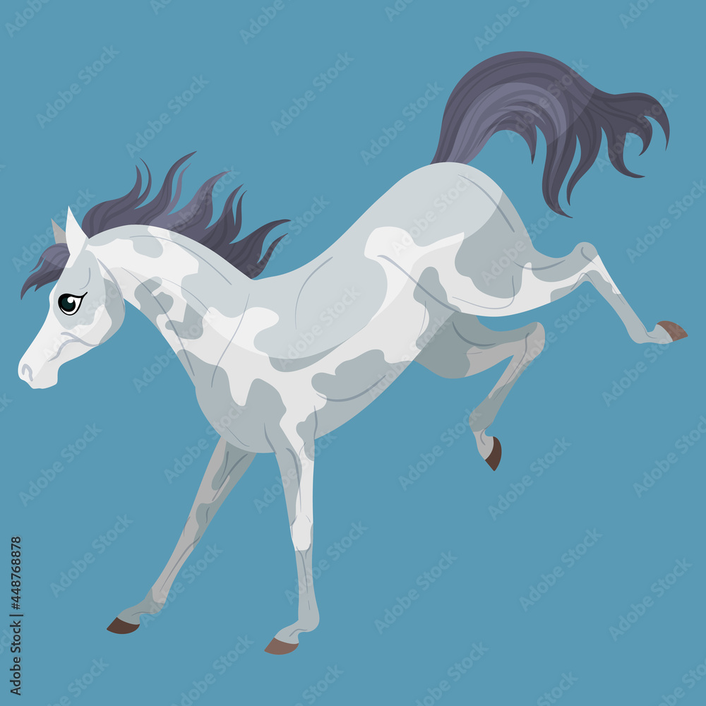 Gray paint horse. The foal kicks. Cute horse character for children's illustrations.